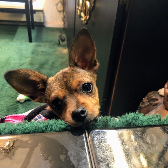 DJ - Picture 8 of 16